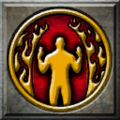 Fire Proof icon.png