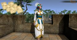 SotA Ardoris Priestess Outfit front pattern.jpg