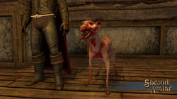 SotA NPC Pet Zombie dog.jpg