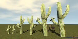 SotA Plant Cactus Saguaro 6Pack.jpg