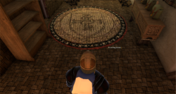 Round Rug (Avatar) Reference.png