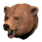 Pristine Brown Bear Head