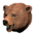 Pristine Brown Bear Head icon.png