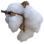 Raw Cotton icon.png