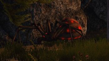 Ferocious Red Spider 1.jpg