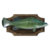 Mounted Cod icon.png