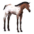 Appaloosa Foal icon.png