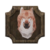 Mounted Desert Wolf icon.png