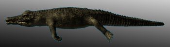 Large Crocodile 01.jpg