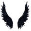 Black Ice Wings icon.png