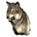 Pristine Timber Wolf Head