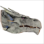 White Wyvern Head icon.png