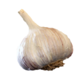 Garlic icon.png