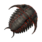 Trilobite (Lava Fish)