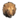 Pristine Lion Head icon.png