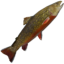 Brook Trout icon.png