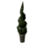 Hedge Spiral Tree.png