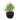 Plant02 icon.png