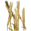 Wheat icon.png