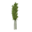 Bamboo Tree icon.png