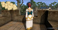 SotA Ardoris Priestess Outfit back pattern.jpg