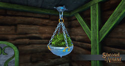 Sota-ornate-hanging-potted-plant-azalea-upclose.jpg