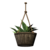 Hanging Potted Sword Plant icon.png