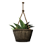 Hanging Potted Sword Plant icon.png