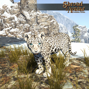 SotA 03-30-22 18-25 3 snowleopard.png
