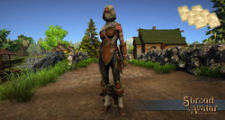 Elven elite archer armor front pattern v2.jpg