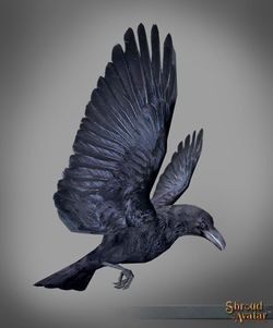 SotA FounderTier Pet Raven.jpg