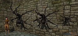 SotA Spider Aggressive 3Pack.jpg