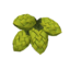Hops icon.png