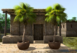 SotA Potted Fountain Palm Tree.jpg
