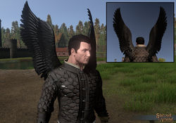 SotA Black Feather Wings composite.jpg