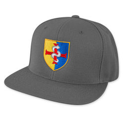 LB Snapback Hat Gray1.jpg