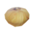 Onion icon.png