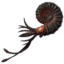 Ammonite icon.png