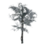 Dead Tree with Spider Webs icon.png