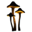 Orange Glowing Mushroom icon.png