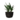 Plant icon.png