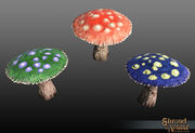 180px-Toadstools.jpg