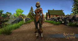 Elven elite archer armor front v4.jpg