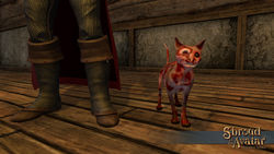 SotA NPC Pet Zombie cat.jpg