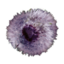 Chaos Plant Pollen icon.png