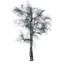 Dead Tree icon.png