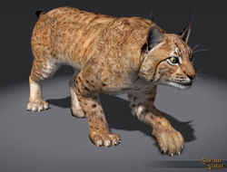 SotA Founder Lord Lynx Pet.jpg