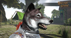 Sota-wolf-mask-updated.jpg