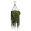Hanging Potted Ivy icon.png