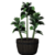 Plant01 icon.png